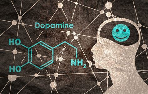 Tout Savoir Sur Le Fonctionnement De La Dopamine