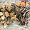 同昌海味: 【經濟有益菇菌：茶樹菇、姬松茸】