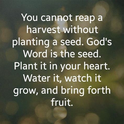 You Cannot Reap A Harvest Without Planting A Seed Gods Word Is The