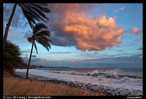 Picturephoto Palm Trees Cloud And Ocean Surf At Sunset Lahaina