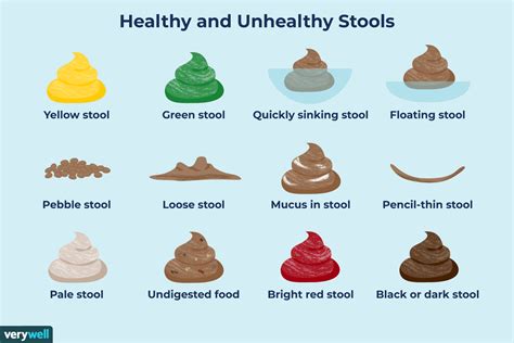 What Do The Different Poop Colors And Shapes Mean 2023