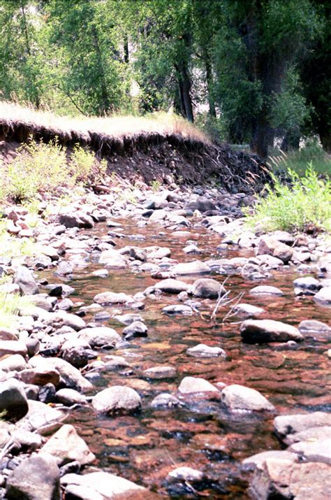 Little Snake River And Tributaries Colorado 1999 2001