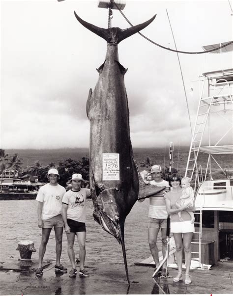 Largest Marlin Ever Caught