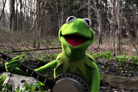 If You Only Watch One Musicians Iso Video Today Make Sure Its Kermit The Frogs Rainbow