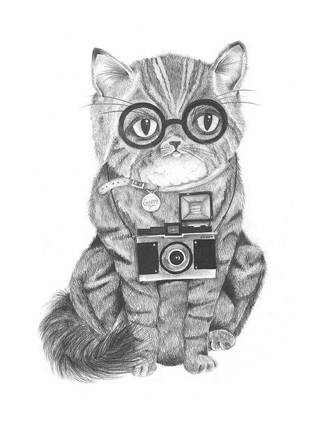 Kitty Cat With Glasses And Flash Camera Drawing Camera Photographer