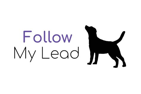 Follow My Lead Dog Training Updated December 2024 77 Photos And 46