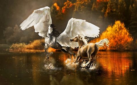 Hd Wallpaper Fantasy Animals Pegasus Water Bird Lake Animals In