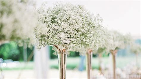 Affordable Wedding Centerpieces That Dont Look Cheap Martha Stewart