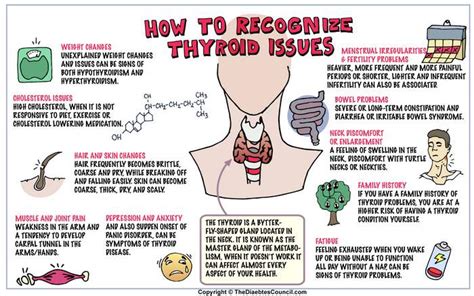 Causes Of Thyroid Symptoms In Men Health Love