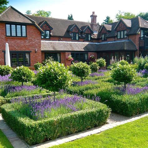 Buxus Sempervirens Suffruticosa Lavandula Angustifolia Hidcote