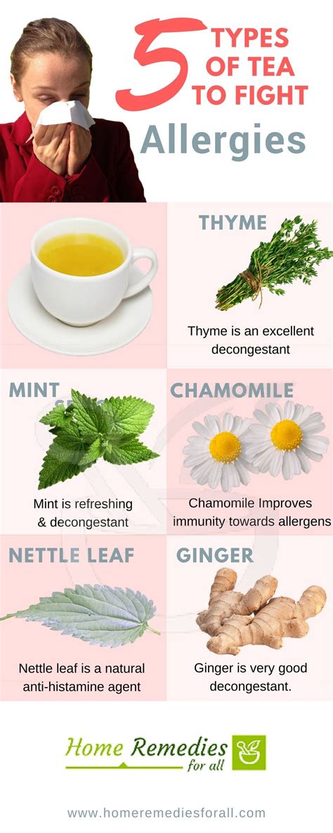 One Or More Of The 5 Teas For Allergies Will Help You To Get Rid Of The