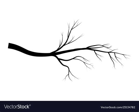 Bare Branch Tree Silhouette Symbol Icon Design Vector Image