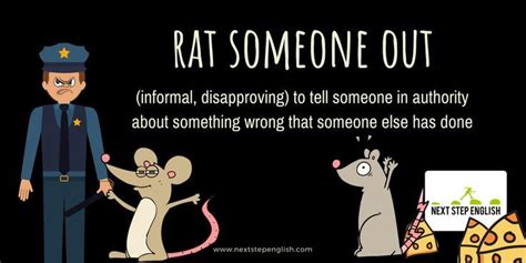 Mouse Rat Idioms 9 Great Idioms With Meanings And Examples