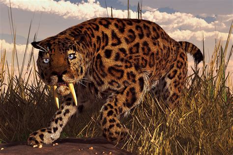 Sabre Toothed Cats May Have Been Surprisingly Social And Sharing