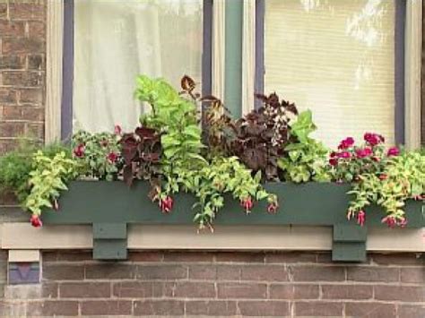 Learn more about growing begonias. Planting Window Boxes for Shade | DIY