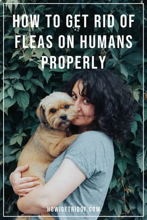 How To Get Rid Of Fleas On Humans Properly How I Get Rid Of