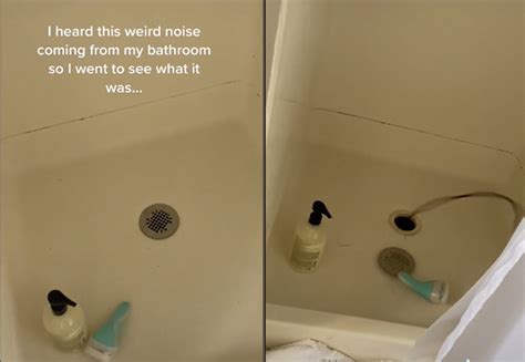 Tiktoker Makes Wild Discovery After Hearing A ‘weird Noise In Her Shower