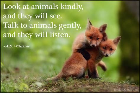Look At Animals Kindly And They Will See Talk To Animals Gently And