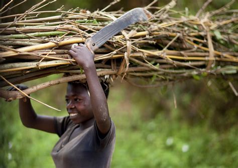 Batwa Pygmy Woman Carrying Wood Rwanda The Twa Aka The Flickr