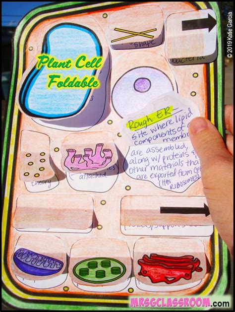 Here Are 7 Awesome Foldables To Liven Up Your Science Interactive
