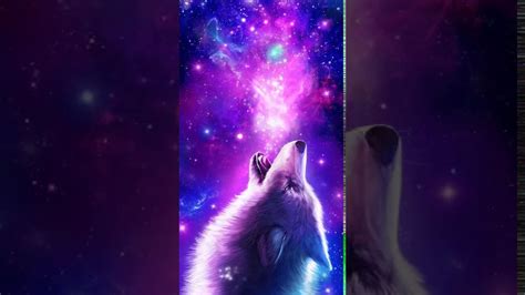 Galaxy Wolf Live Wallpaper Youtube