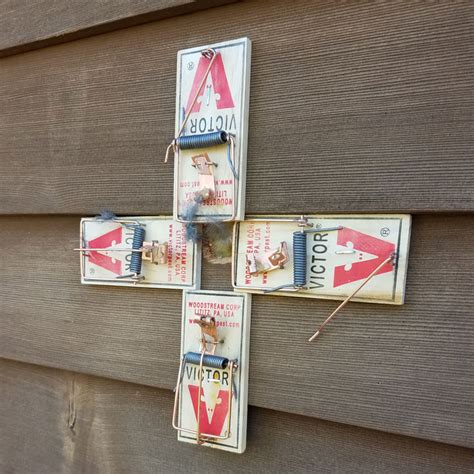 Don't worry, it's not uncommon—especially in new england, where the attics of both historic homes and new construction can wind up being a haven for creatures of every sort. Toms River Rat Removal, Rats in Attic & Walls, Scratching ...