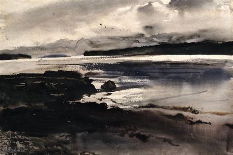 Andrew Wyeth Sea Birds For Sale At 1stdibs Andrew Wyeth