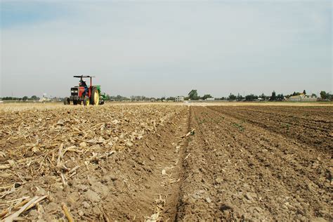 Conservation Tillage In Ontario Good In Every Grain