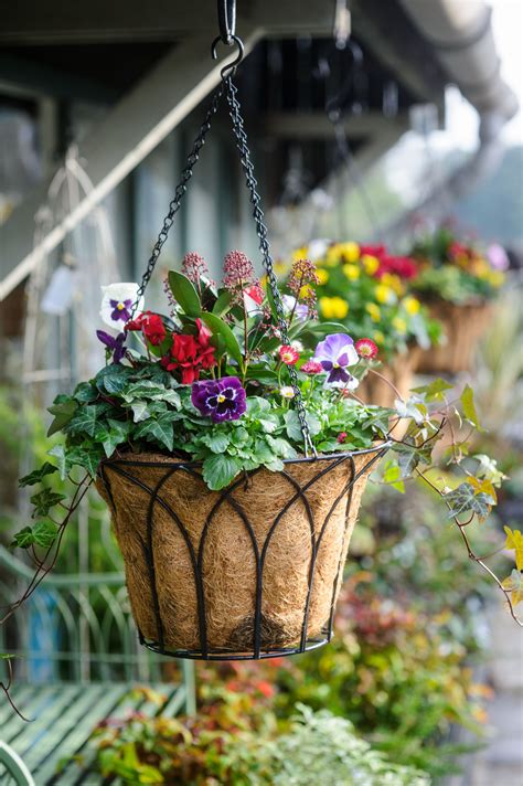 Hanging Baskets Arent Just For Summer Our Gorgeous Baskets Are