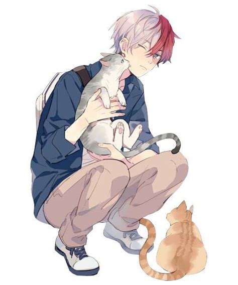 Shoto Todoroki With Cats
