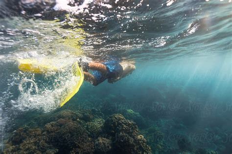 Young Man Snorkeling In Shallow Sea Water Of Bali Over The Coral Reef