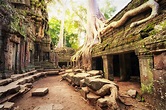 Angkor Wat Cambodia. Ta Prohm Khmer temple - EXO Travel Blog