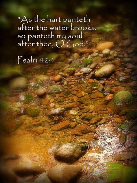 Stream Bed Psalm 42 Photograph By Cindy Wright