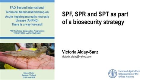 Presentation 211 Specific Pathogen Free Spf Specific Pathogen Res