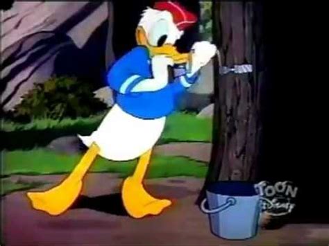 Donald Duck Crazy Over Daisy YouTube