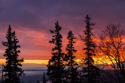 Sunset Through Trees Carl Johnson Photography