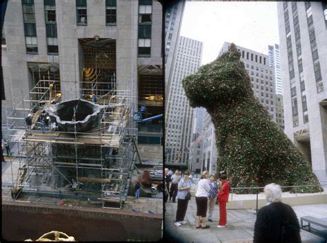 Koons earned renown for his public sculptures, such as the monumental floral sculpture puppy (1992), shown at rockefeller center and. We will tell you everything about Puppy, the flower statue ...