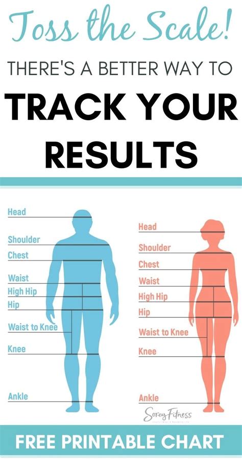 Printable Male Body Measurements Chart Free Printable