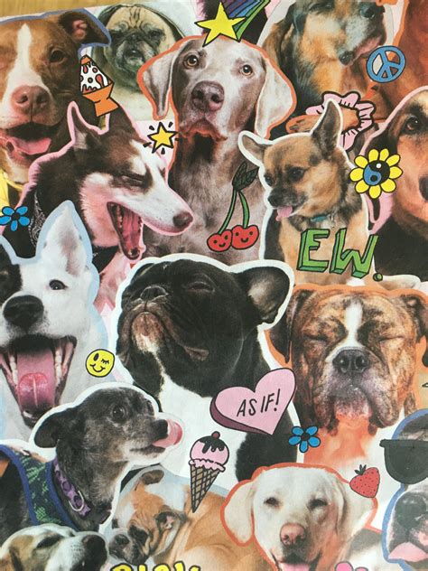 Collage Dogs Animals Collages Animales Animaux Pet Dogs Doggies