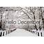 December Wallpapers High Quality  Download Free