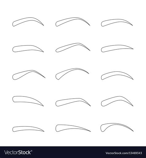 Set Of Outline Eyebrows In Different Shapes Vector Image