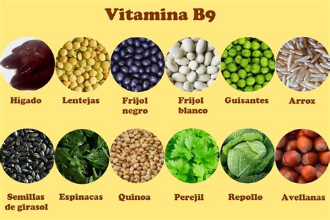 Desintegra los hidratos de carbono. vitamina B9 - Alimentos ricos en Vitamina B9 | Nutrição ...