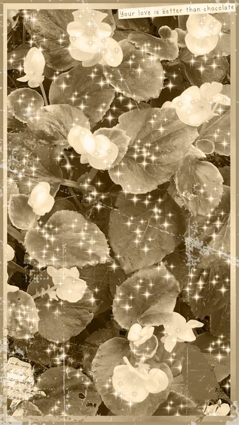 Flower Sepia Wallpapersc Iphone8plus