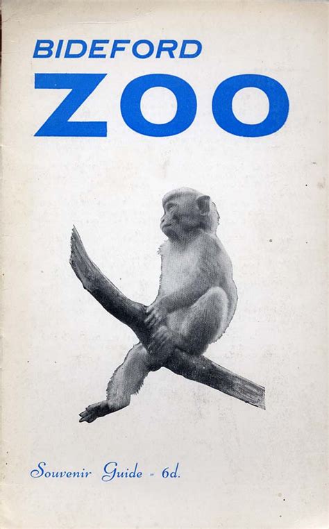 Les Zoos Dans Le Monde Bideford Zoo