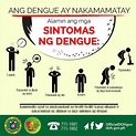 Philippines reports 56K dengue fever cases in Q1 of 2019 - Outbreak ...