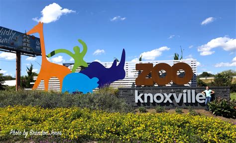 Zoo Knoxville Stroll Watch And Laugh The Afternoon Away