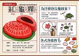 2022【麵龜】民俗解說，台灣傳統祭祀食品意義與由來。 - 17懶人包