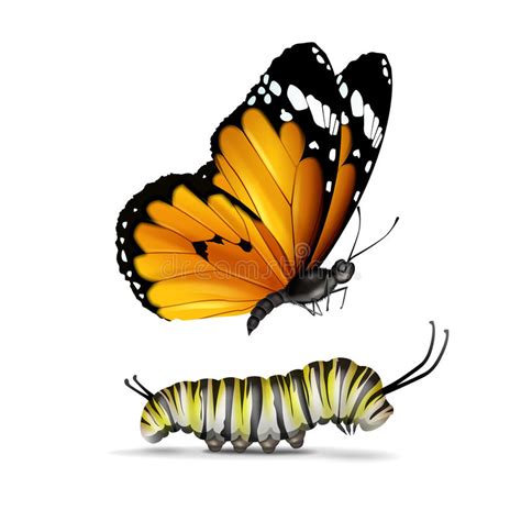 Farfalla E Trattore A Cingoli Normali Della Tigre Illustrazione