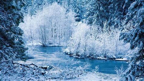 Hd Wallpaper Winter Scene 55 Images