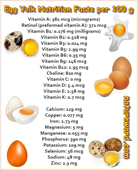 Egg Yolk Nutrition Facts Per 100 Grams Natureword